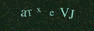 Validation image