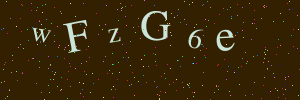 Validation image