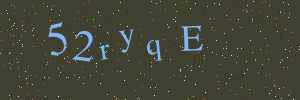 Validation image
