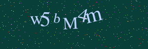 Validation image